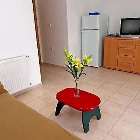 1029 4*
